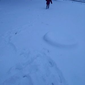 Meet your Posher, Tabitha